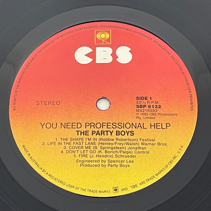The Party Boys - You Need Professional Help (Vinyl LP)