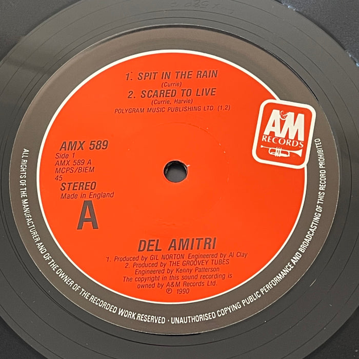 Del Amitri - Spit In The Rain (10" Vinyl)