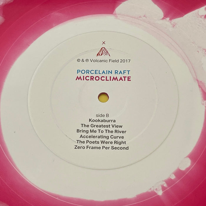 Porcelain Raft - Microclimate (Vinyl LP)