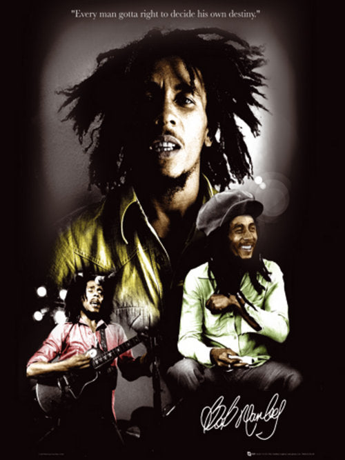 Bob Marley - Destiny (Poster)(61x91.5cm)